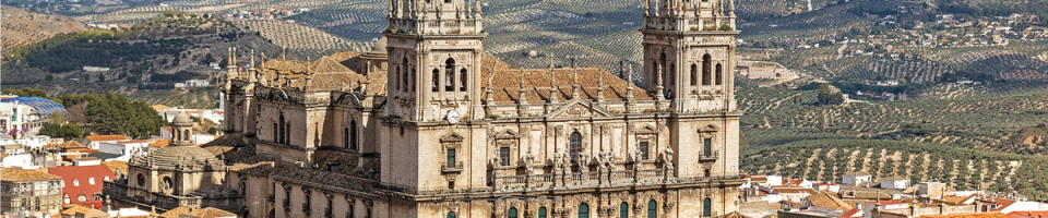 A view of Jaen cathedral