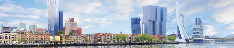 Landscape of Rotterdam city