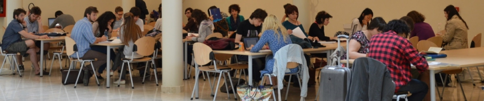 Student studying in a study room at the Department of Humanities