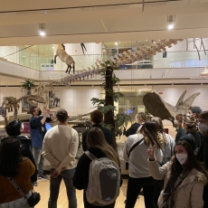 Moving Among Dinosaurs at the MUSE