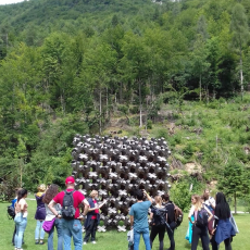 A Walk Through Art and Nature on the Last Day While Visiting Arte Sella 